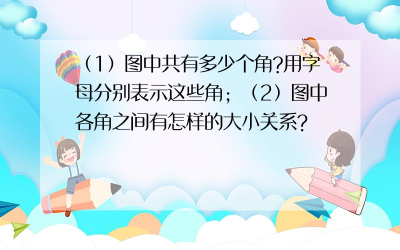 （1）图中共有多少个角?用字母分别表示这些角；（2）图中各角之间有怎样的大小关系?