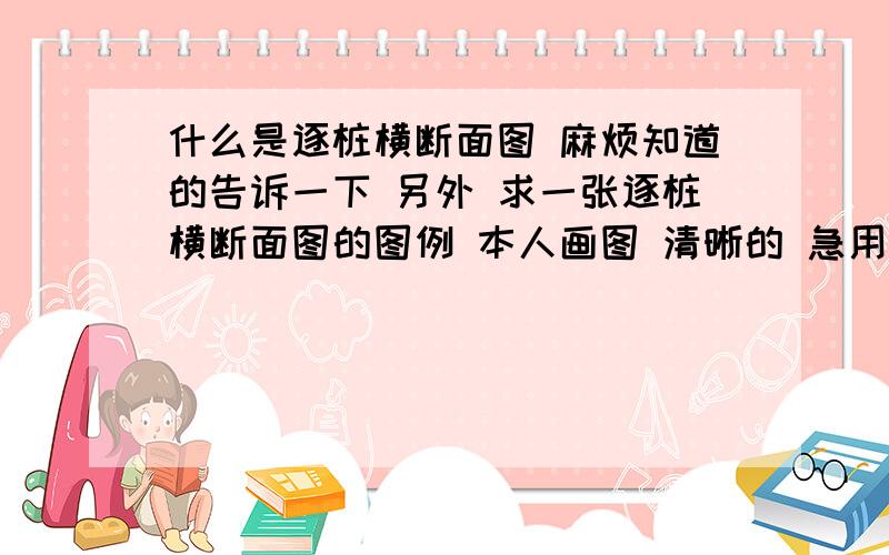 什么是逐桩横断面图 麻烦知道的告诉一下 另外 求一张逐桩横断面图的图例 本人画图 清晰的 急用