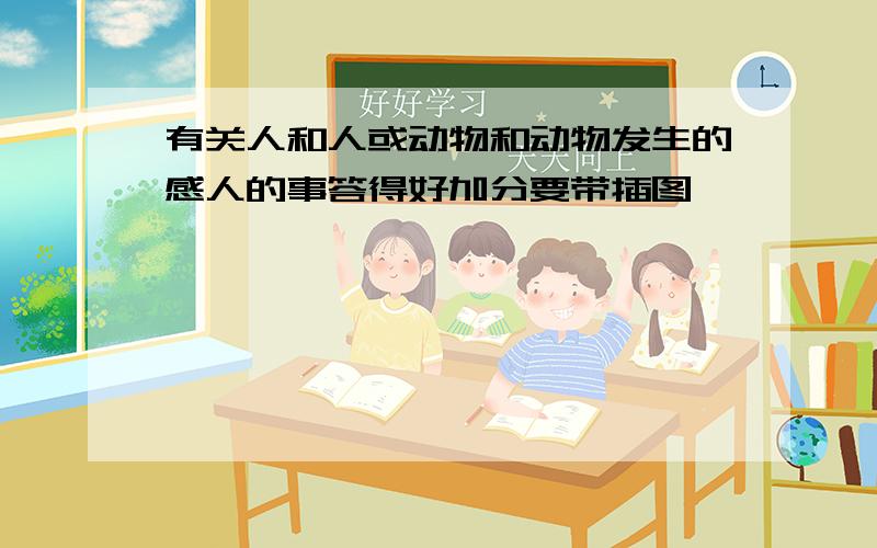 有关人和人或动物和动物发生的感人的事答得好加分要带插图