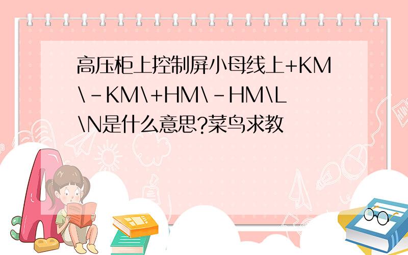 高压柜上控制屏小母线上+KM\-KM\+HM\-HM\L\N是什么意思?菜鸟求教