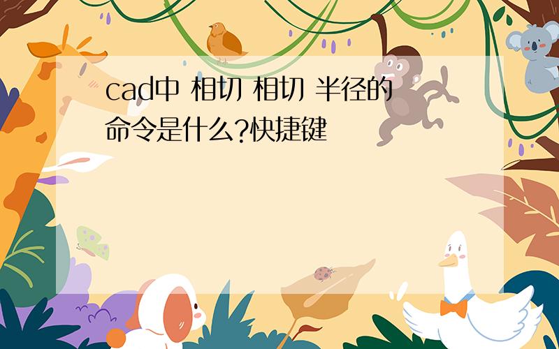 cad中 相切 相切 半径的命令是什么?快捷键