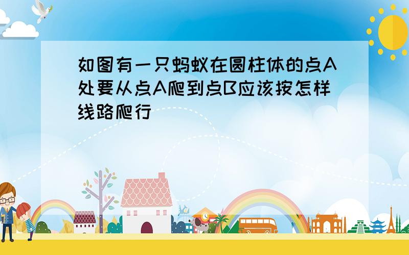 如图有一只蚂蚁在圆柱体的点A处要从点A爬到点B应该按怎样线路爬行