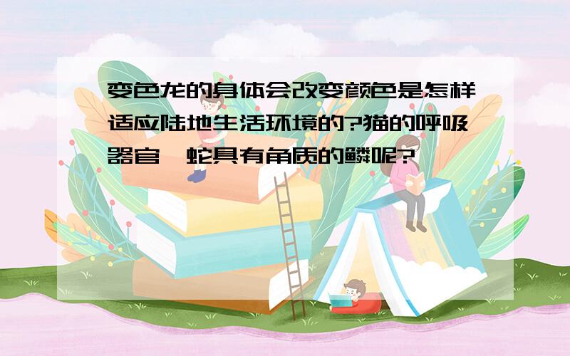 变色龙的身体会改变颜色是怎样适应陆地生活环境的?猫的呼吸器官,蛇具有角质的鳞呢?