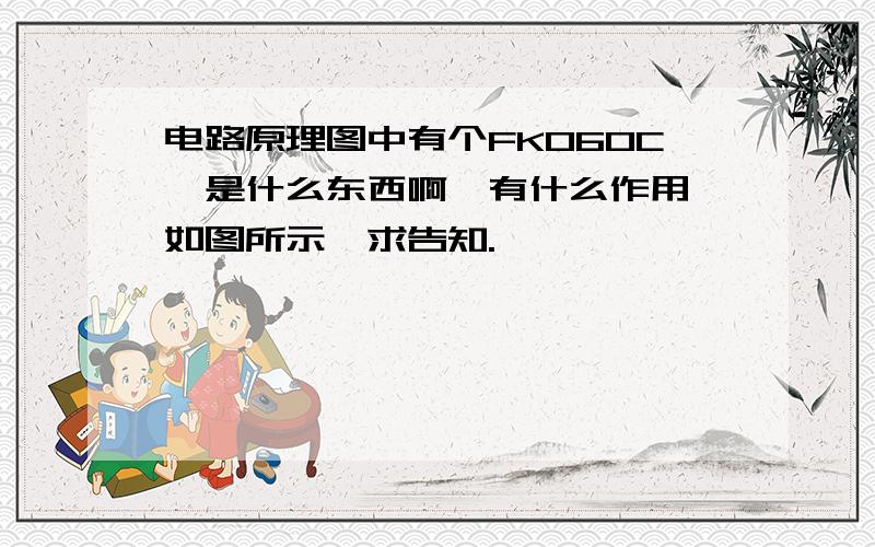 电路原理图中有个FK060C,是什么东西啊,有什么作用,如图所示,求告知.