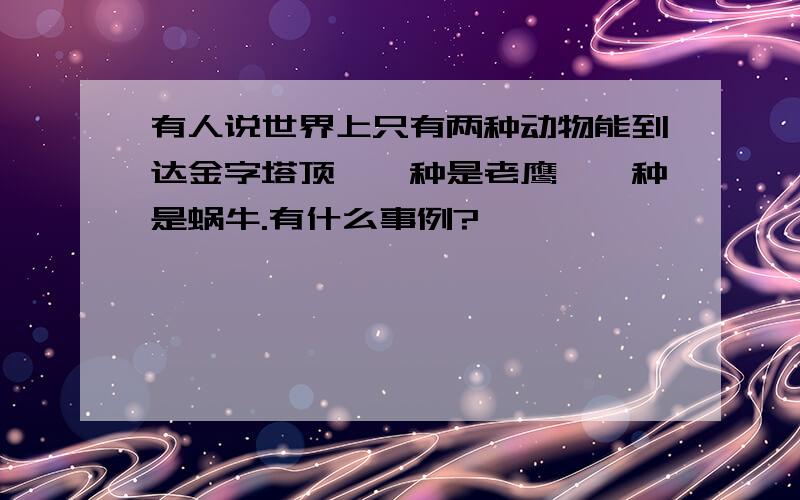 有人说世界上只有两种动物能到达金字塔顶,一种是老鹰,一种是蜗牛.有什么事例?