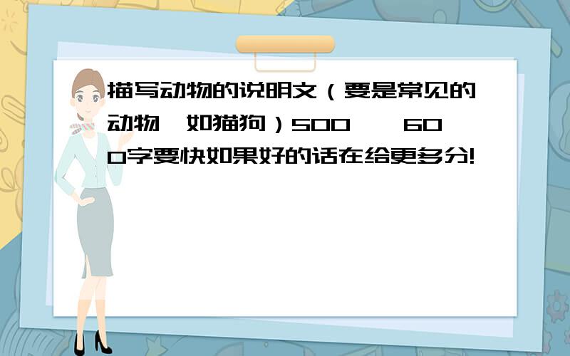 描写动物的说明文（要是常见的动物,如猫狗）500——600字要快如果好的话在给更多分!