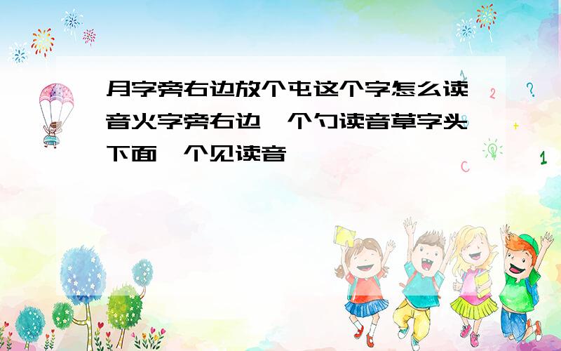 月字旁右边放个屯这个字怎么读音火字旁右边一个勺读音草字头下面一个见读音