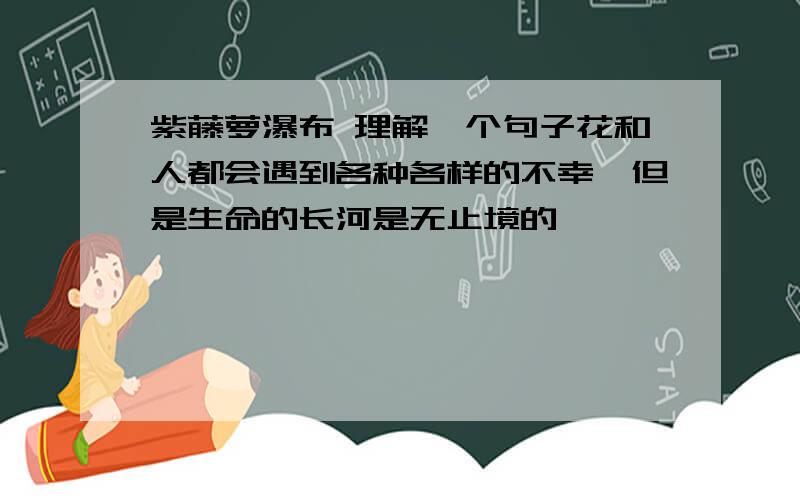 紫藤萝瀑布 理解一个句子花和人都会遇到各种各样的不幸,但是生命的长河是无止境的,