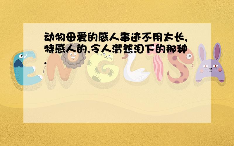 动物母爱的感人事迹不用太长,特感人的,令人潸然泪下的那种.