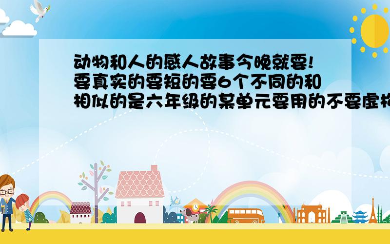 动物和人的感人故事今晚就要!要真实的要短的要6个不同的和相似的是六年级的某单元要用的不要虚构的事情要真实