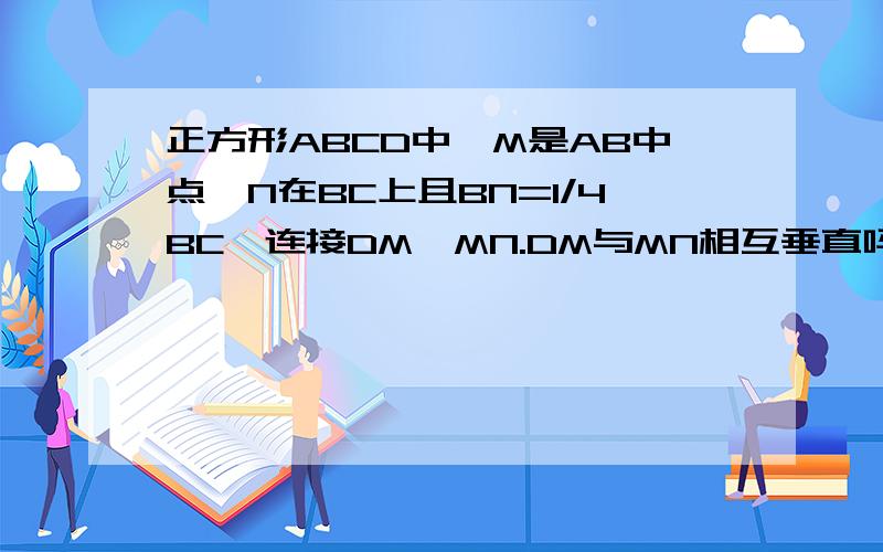 正方形ABCD中,M是AB中点,N在BC上且BN=1/4BC,连接DM、MN.DM与MN相互垂直吗?若垂直,写出证明过程,反之,说明理由