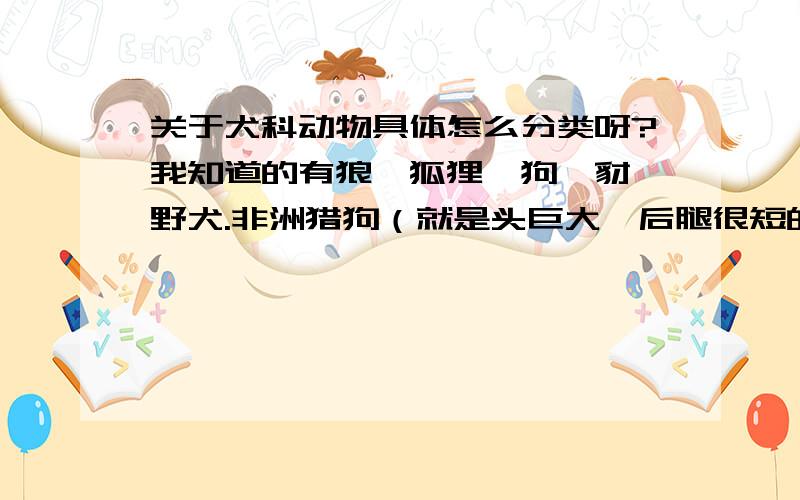 关于犬科动物具体怎么分类呀?我知道的有狼,狐狸,狗,豺,野犬.非洲猎狗（就是头巨大,后腿很短的那种）是不是犬科的?还有就是野犬（不是澳大利亚的野狗）是狗野化了还是野犬被人驯化成