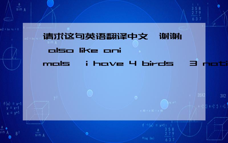 请求这句英语翻译中文,谢谢I also like animals, i have 4 birds, 3 native parrots and 1 canarie.What do you look for here ?