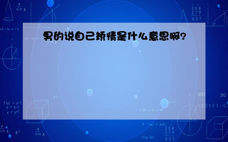 男的说自己矫情是什么意思啊?