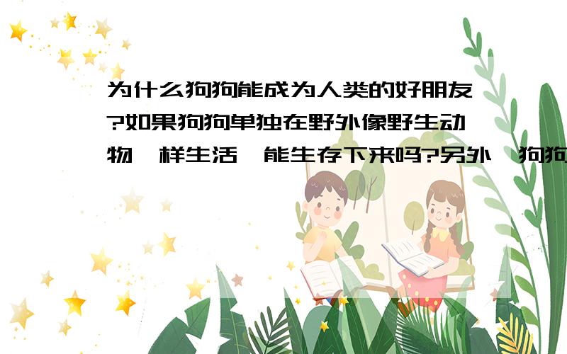 为什么狗狗能成为人类的好朋友?如果狗狗单独在野外像野生动物一样生活,能生存下来吗?另外,狗狗跟人类亲近,是不是说明它们的智商比其他动物高呢?它们为什么对人类的指令有反应,而其他