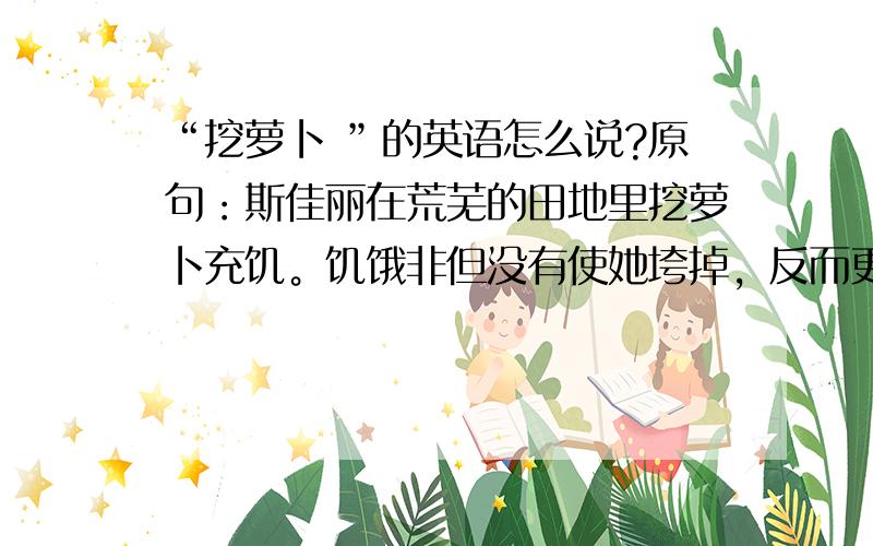 “挖萝卜 ”的英语怎么说?原句：斯佳丽在荒芜的田地里挖萝卜充饥。饥饿非但没有使她垮掉，反而更坚强了她的意志，从而发出了上帝作证的豪言壮语。人的一生有起有落，厄运中我们相