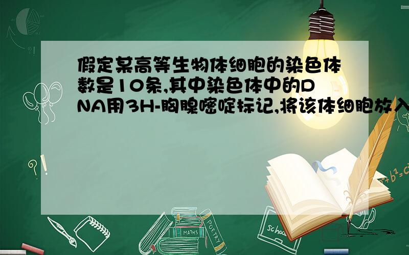 假定某高等生物体细胞的染色体数是10条,其中染色体中的DNA用3H-胸腺嘧啶标记,将该体细胞放入不含有同位素的培养液中连续培养2代,则在形成第2代细胞的有丝分裂后期,没有被标记的染色体