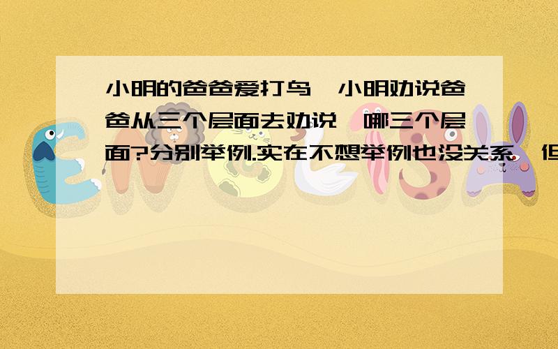 小明的爸爸爱打鸟,小明劝说爸爸从三个层面去劝说,哪三个层面?分别举例.实在不想举例也没关系,但是三个层面一定要动物角度 亲情角度 法律角度 目测是这三个角度 但是怎么形容成层面啊