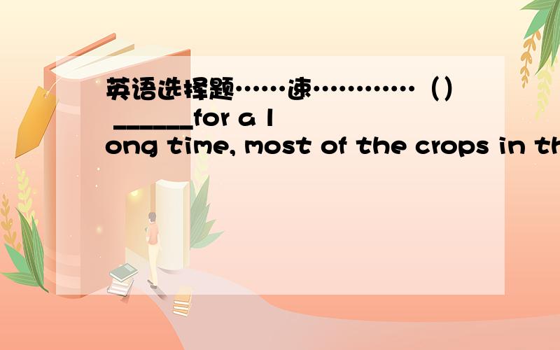 英语选择题……速…………（） ______for a long time, most of the crops in this area died from lacking water.A Being no rain   B There was no rain    C To be no rain     D There being no rain