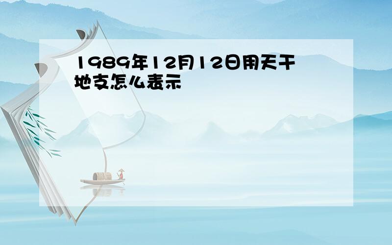 1989年12月12日用天干地支怎么表示