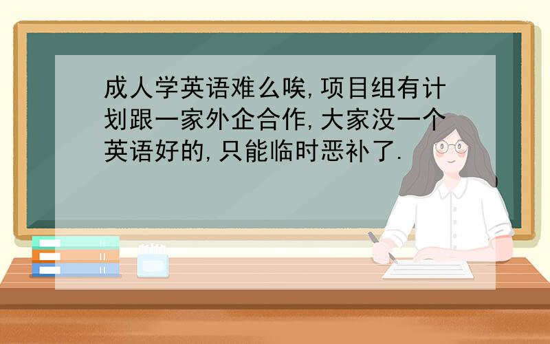 成人学英语难么唉,项目组有计划跟一家外企合作,大家没一个英语好的,只能临时恶补了.