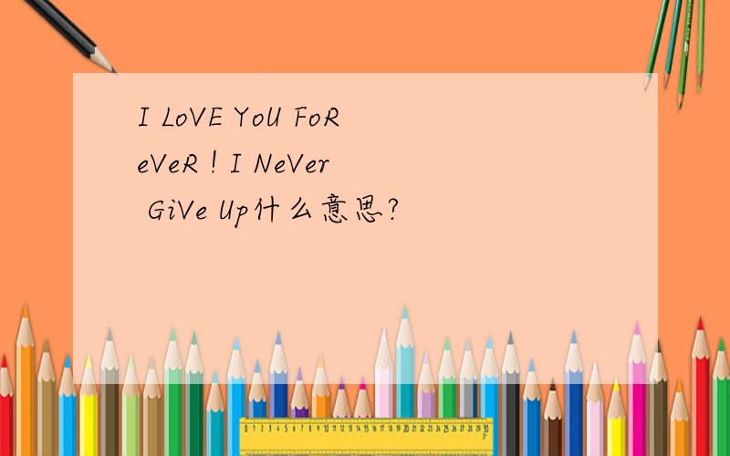 I LoVE YoU FoReVeR ! I NeVer GiVe Up什么意思?