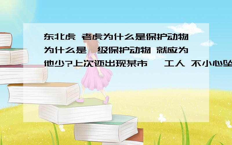 东北虎 老虎为什么是保护动物为什么是一级保护动物 就应为他少?上次还出现某市 一工人 不小心坠入动物园虎山 被五头东北虎撕咬身亡 养着它 还咬人 这虎养着有什么用?