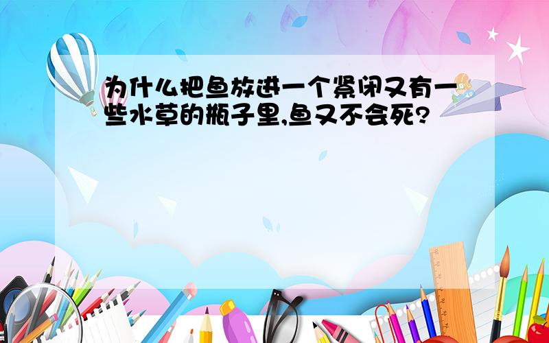 为什么把鱼放进一个紧闭又有一些水草的瓶子里,鱼又不会死?