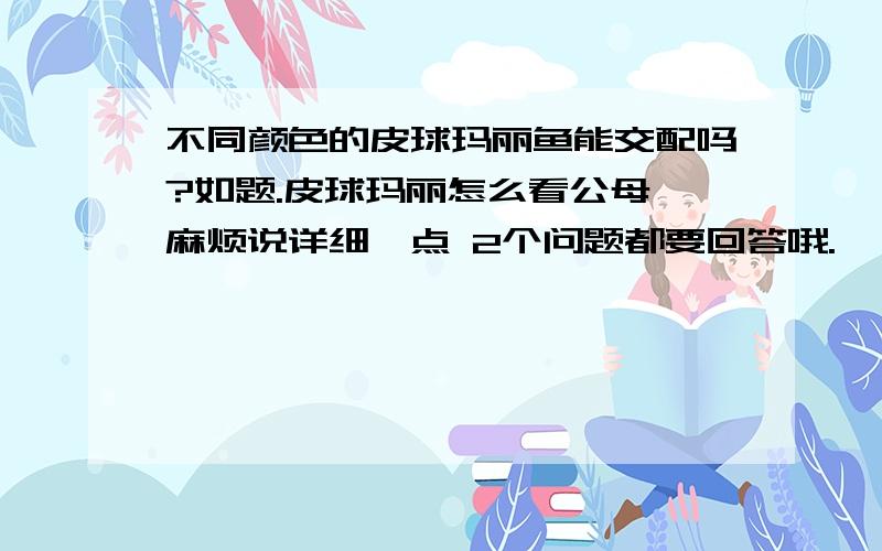 不同颜色的皮球玛丽鱼能交配吗?如题.皮球玛丽怎么看公母 麻烦说详细一点 2个问题都要回答哦.