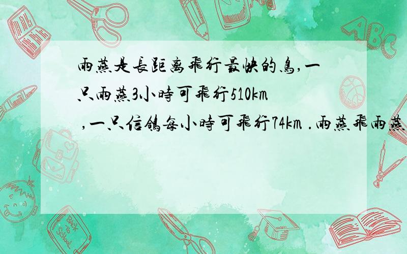 雨燕是长距离飞行最快的鸟,一只雨燕3小时可飞行510km ,一只信鸽每小时可飞行74km .雨燕飞雨燕是长距离飞行最快的鸟,一只雨燕3小时可飞行510km ,一只信鸽每小时可飞行74km .雨燕飞行的速度大