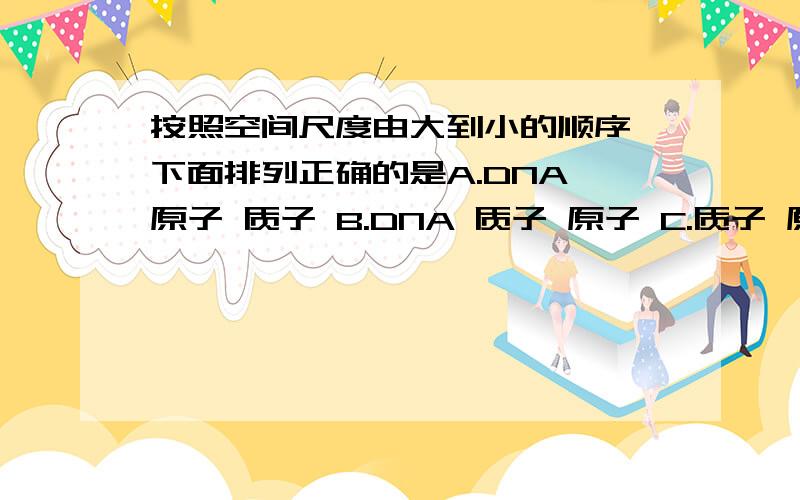 按照空间尺度由大到小的顺序,下面排列正确的是A.DNA 原子 质子 B.DNA 质子 原子 C.质子 原子 DNA D.质子 DNA 原子请问选哪一个