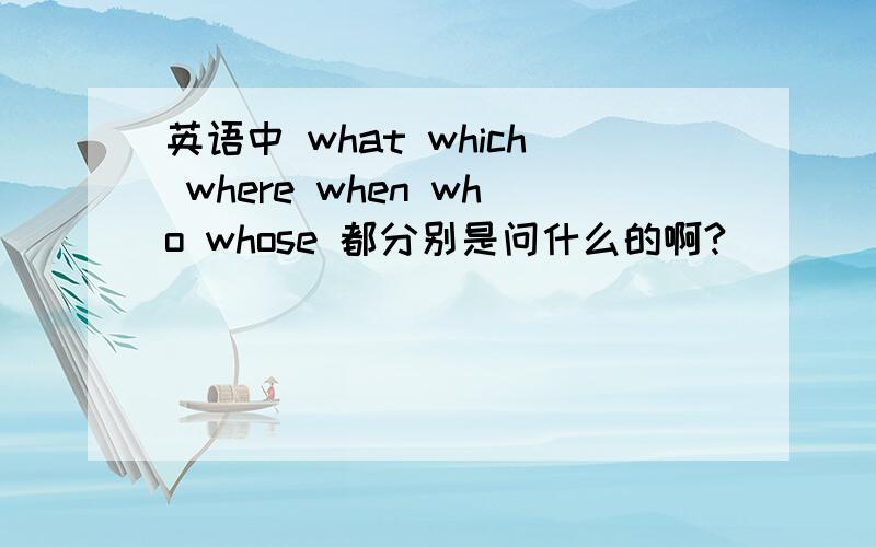 英语中 what which where when who whose 都分别是问什么的啊?