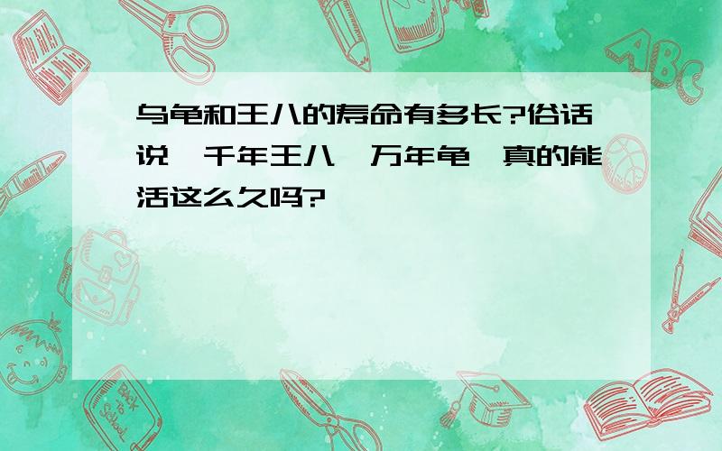 乌龟和王八的寿命有多长?俗话说,千年王八、万年龟,真的能活这么久吗?