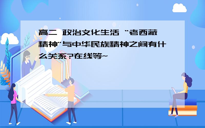 高二 政治文化生活 “老西藏精神”与中华民族精神之间有什么关系?在线等~