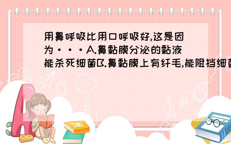 用鼻呼吸比用口呼吸好,这是因为···A.鼻黏膜分泌的黏液能杀死细菌B.鼻黏膜上有纤毛,能阻挡细菌C.鼻黏膜上有嗅细胞,能产生嗅觉D.鼻腔使空气变得温暖、湿润和清洁