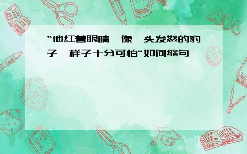 “他红着眼睛,像一头发怒的豹子,样子十分可怕”如何缩句