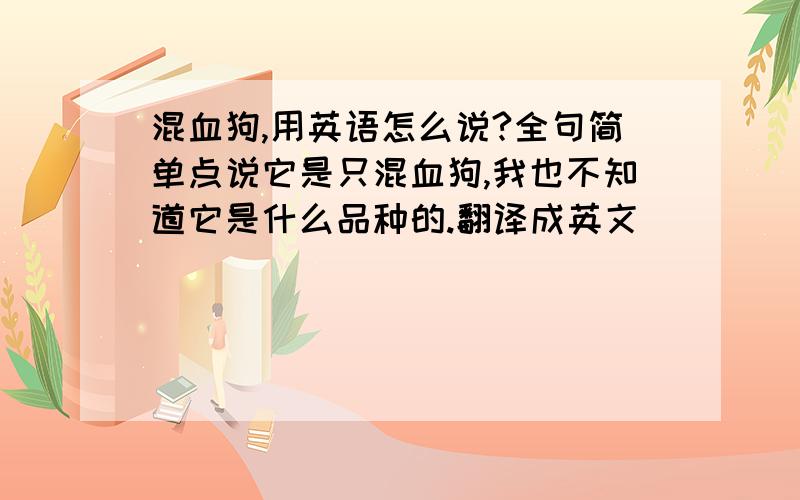 混血狗,用英语怎么说?全句简单点说它是只混血狗,我也不知道它是什么品种的.翻译成英文