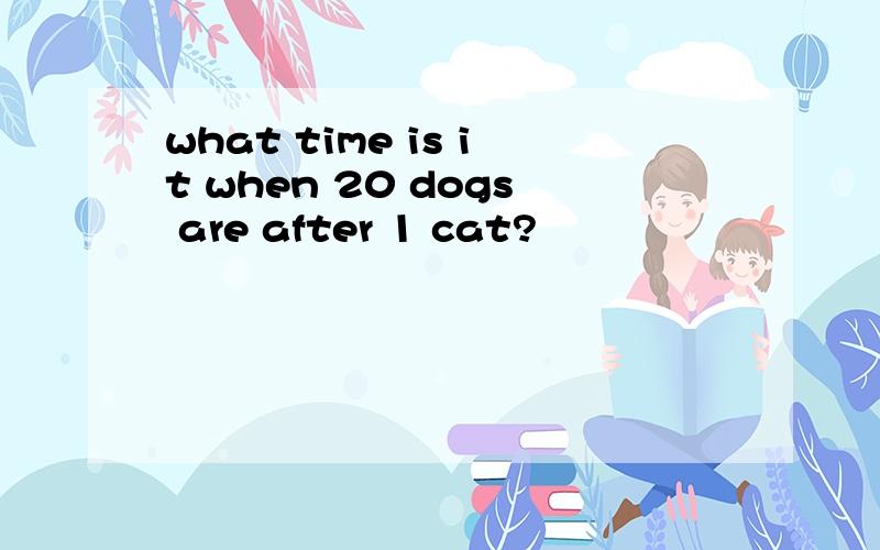 what time is it when 20 dogs are after 1 cat?