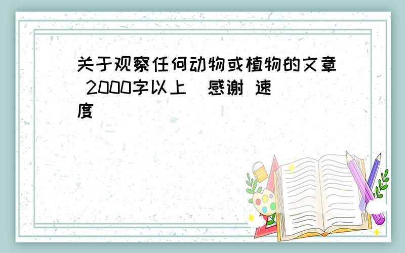 关于观察任何动物或植物的文章 2000字以上  感谢 速度