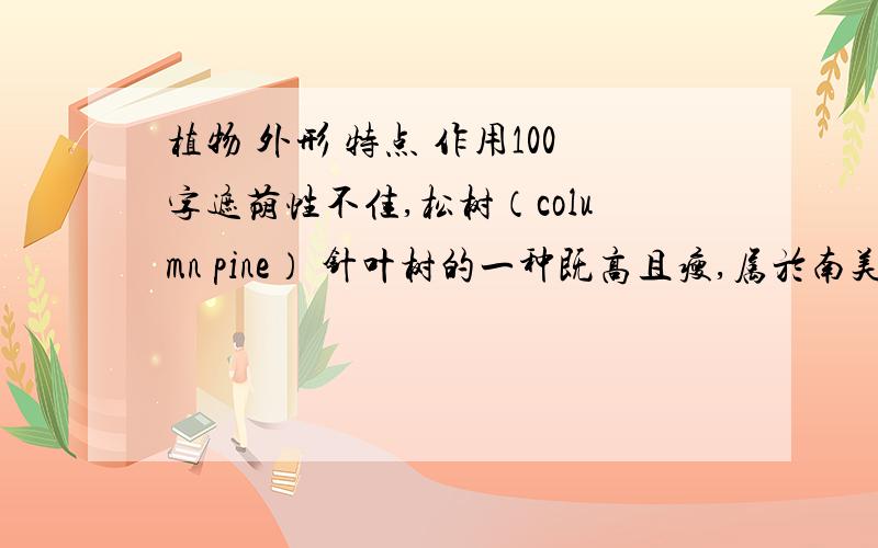 植物 外形 特点 作用100字遮荫性不佳,松树（column pine） 针叶树的一种既高且瘦,属於南美杉族群,松树（pine）常绿乔木,有少数为灌木,树皮多为鳞片状,叶针形,果球形,种子叫松籽（pine nut）可