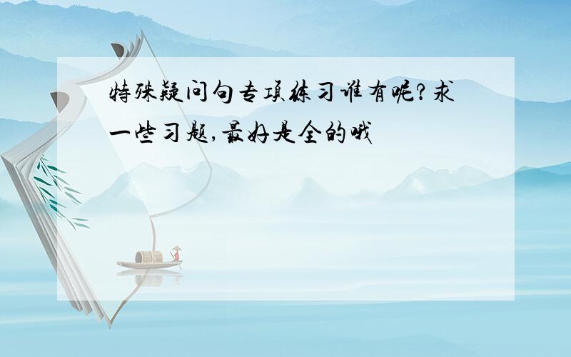 特殊疑问句专项练习谁有呢?求一些习题,最好是全的哦