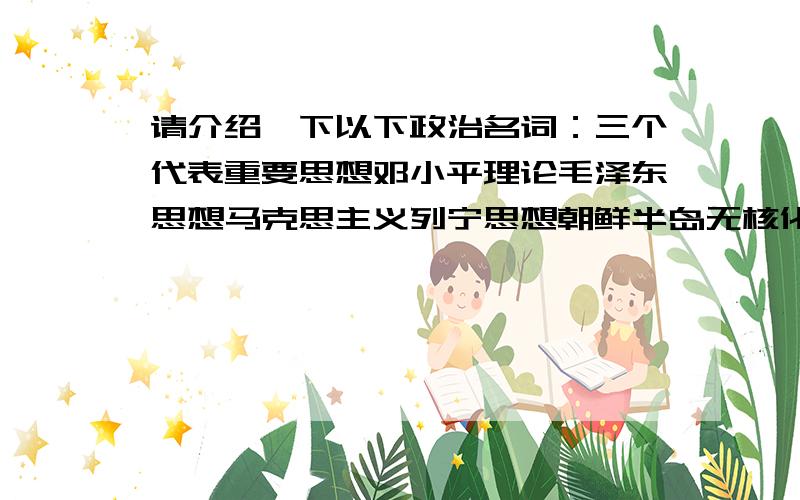 请介绍一下以下政治名词：三个代表重要思想邓小平理论毛泽东思想马克思主义列宁思想朝鲜半岛无核化科学发展观核武器去功能化新农村建设社会主义