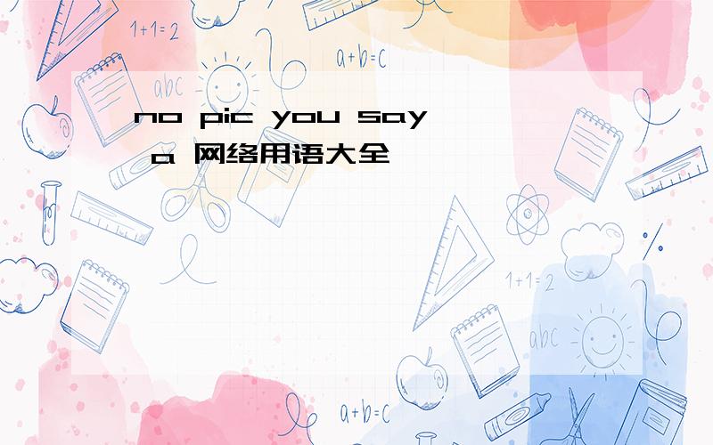 no pic you say a 网络用语大全