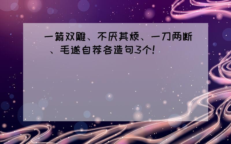 一箭双雕、不厌其烦、一刀两断 、毛遂自荐各造句3个!