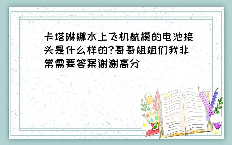 卡塔琳娜水上飞机航模的电池接头是什么样的?哥哥姐姐们我非常需要答案谢谢高分