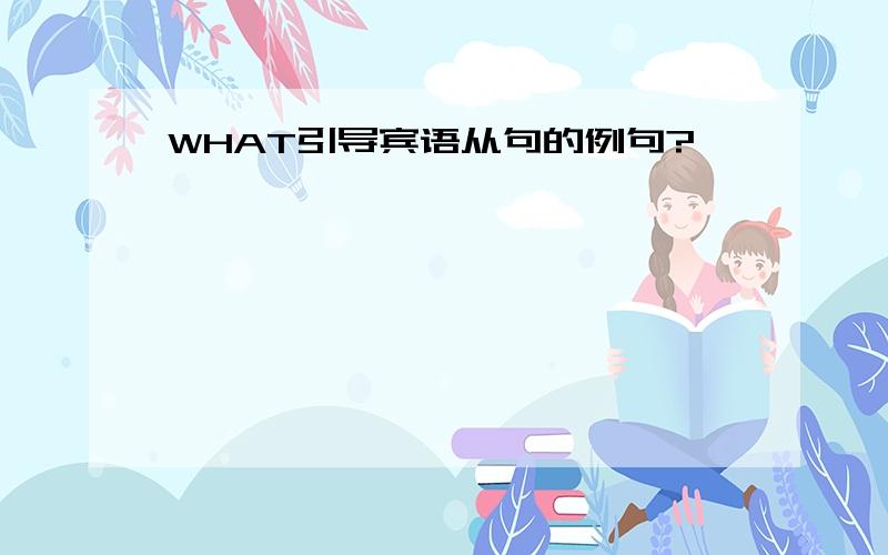 WHAT引导宾语从句的例句?