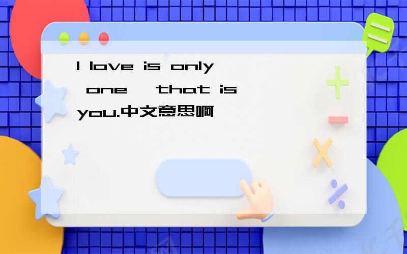 I love is only one ,that is you.中文意思啊