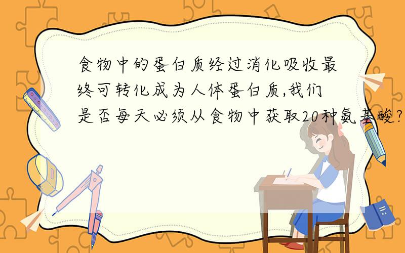 食物中的蛋白质经过消化吸收最终可转化成为人体蛋白质,我们是否每天必须从食物中获取20种氨基酸?食物中的蛋白质经过消化吸收最终可转化为人体蛋白质,我们是否每天必须从食物中获取20