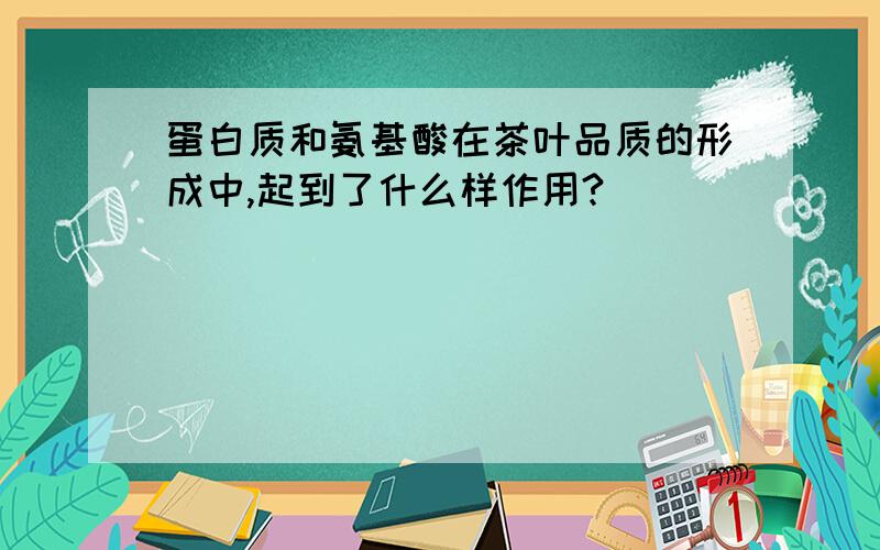 蛋白质和氨基酸在茶叶品质的形成中,起到了什么样作用?