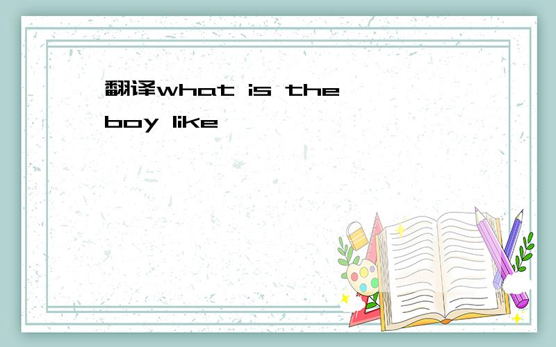 翻译what is the boy like